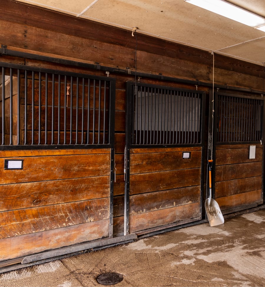 Stillwater Equine Veterinary Clinic in Stillwater