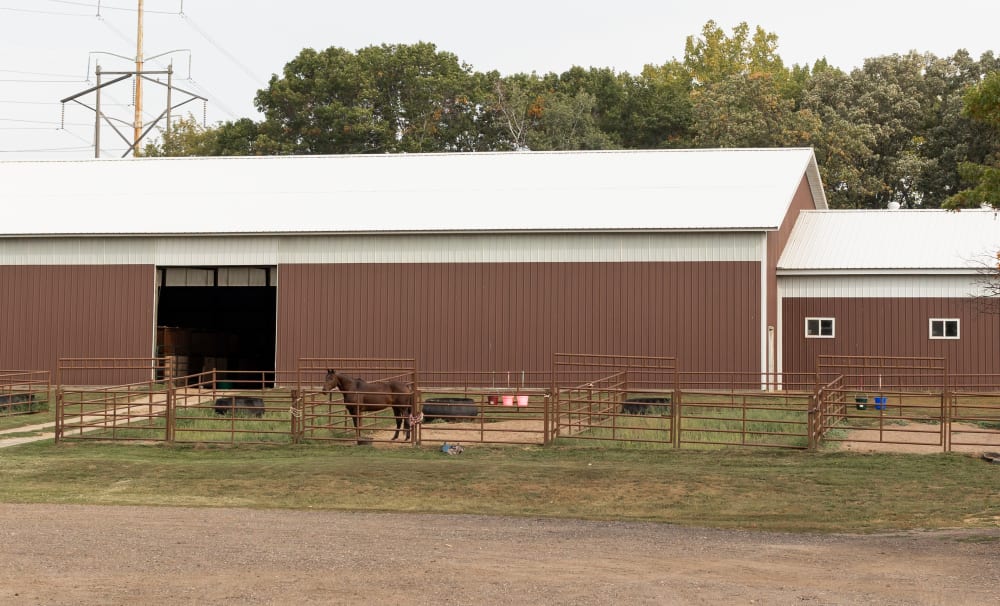 Welcome to Our Stillwater Equine Hospital