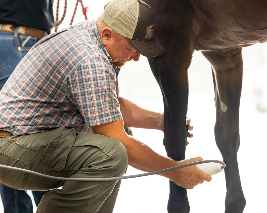 Shock Wave Therapy, Stillwater Veterinarians